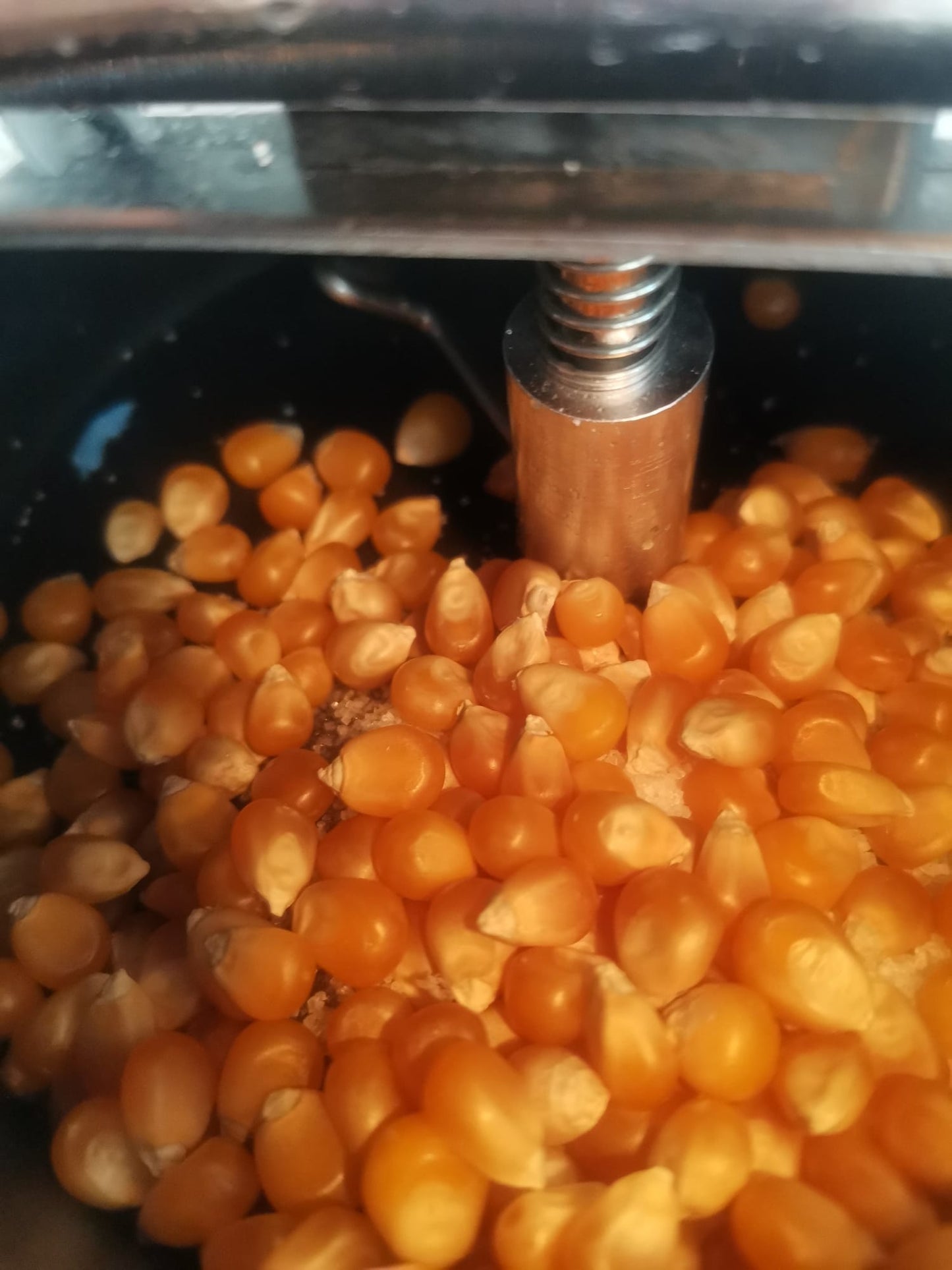 Popcornmaschine / Tag